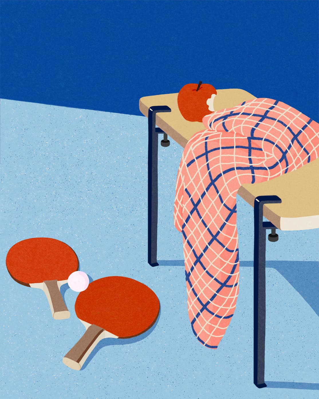 Agnes Bic illustration