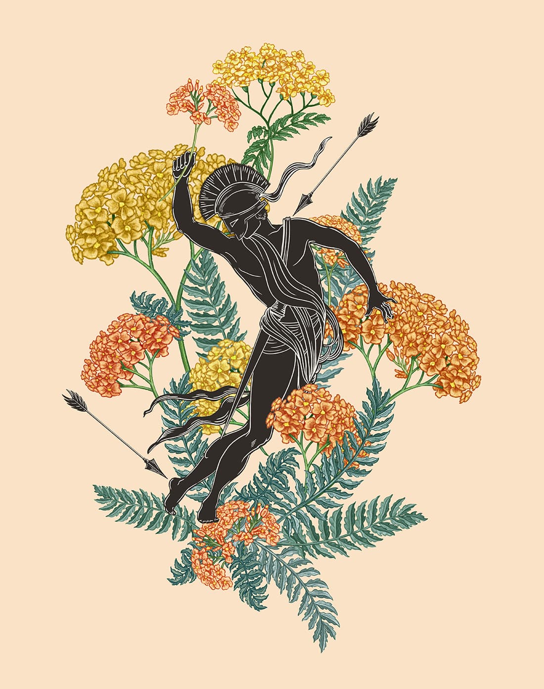 Lisel Ashlock illustration for Workman Publishing: Interior illustrations from Mythic Plants by Ellen Zachos