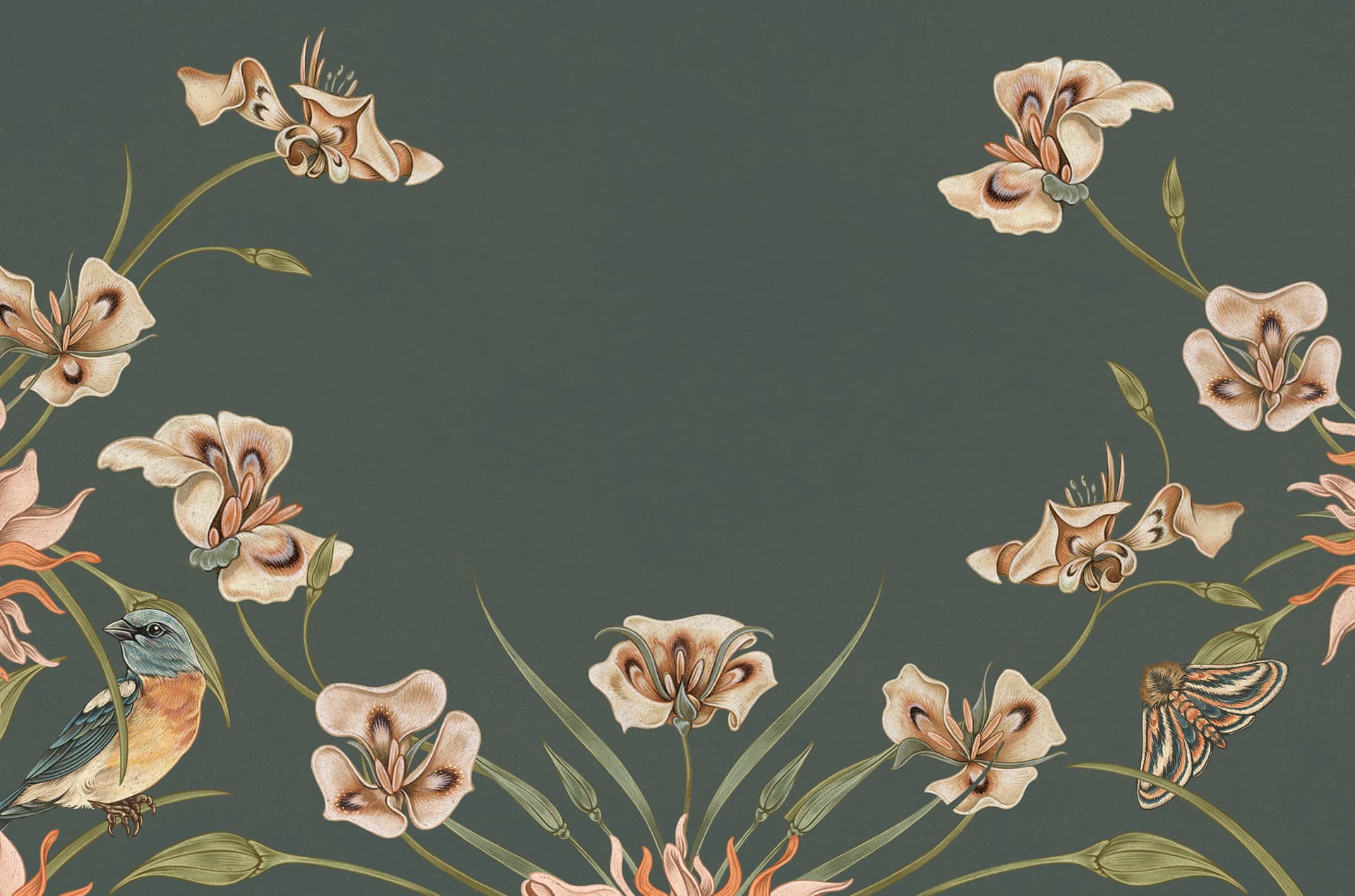 Lisel Ashlock illustration