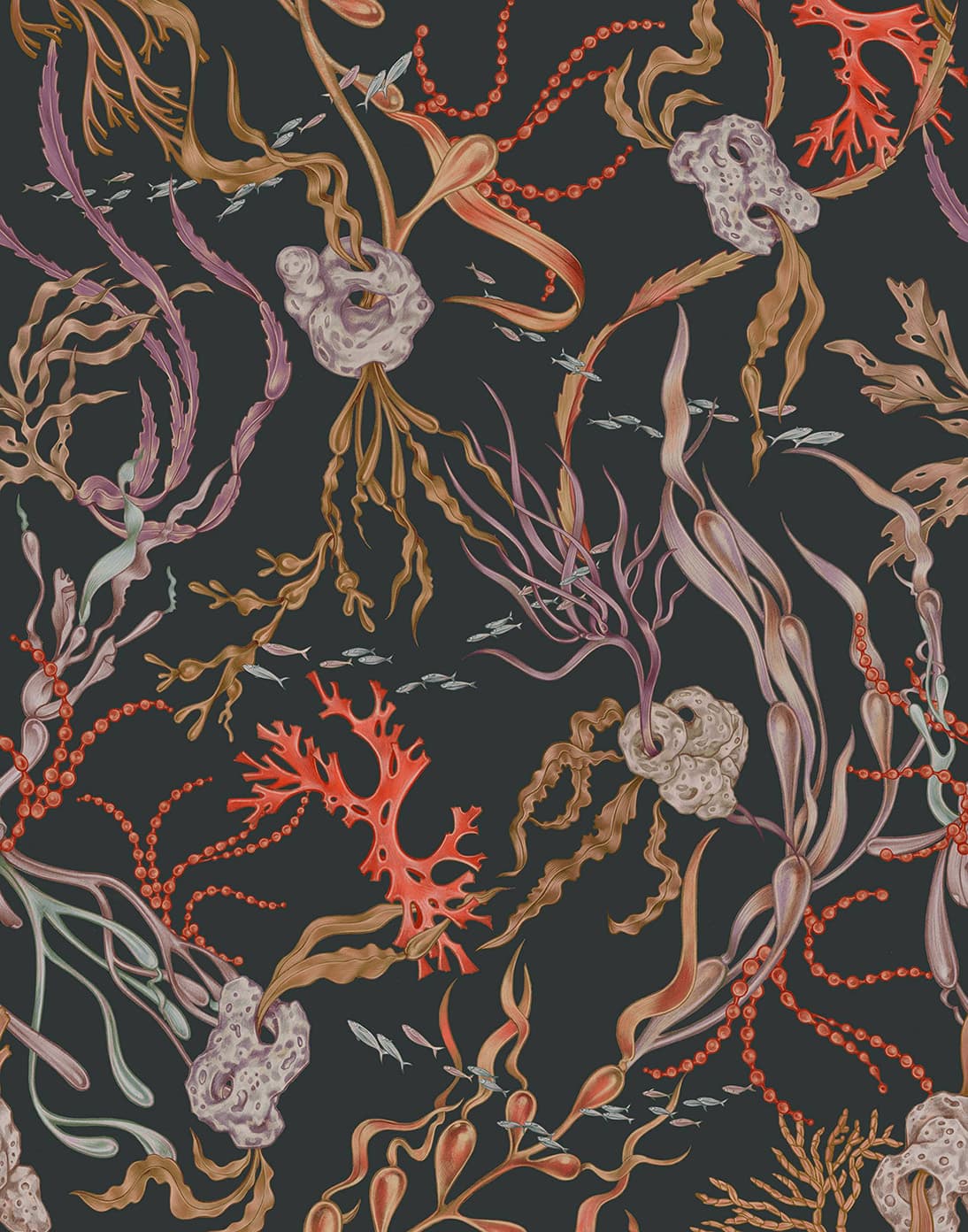 Lisel Ashlock illustration