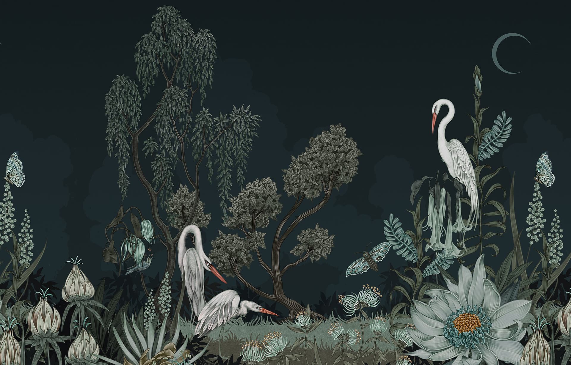 Lisel Ashlock illustration for Hygge & West: Night Heron