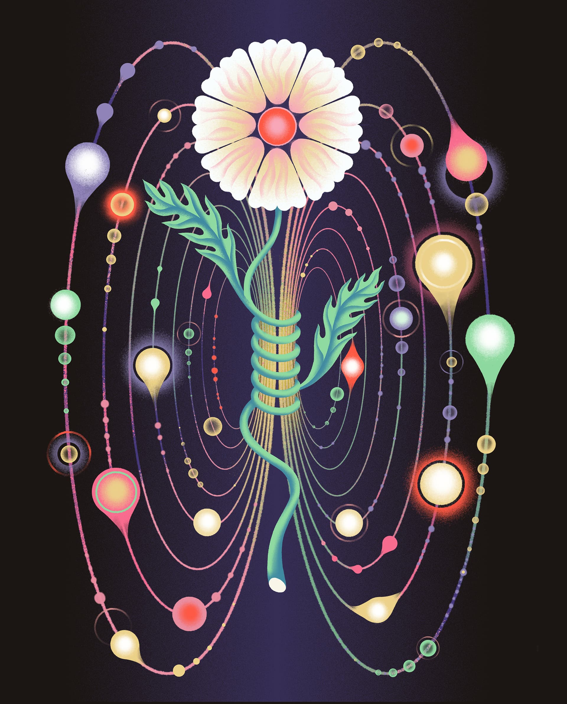 Marina Muun illustration for Omnia Magazine: How living matter works