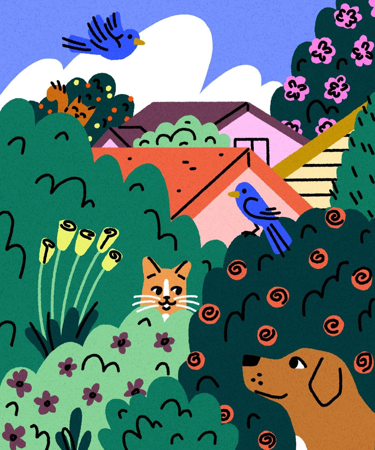 Sunny Eckerle - for Summer scene