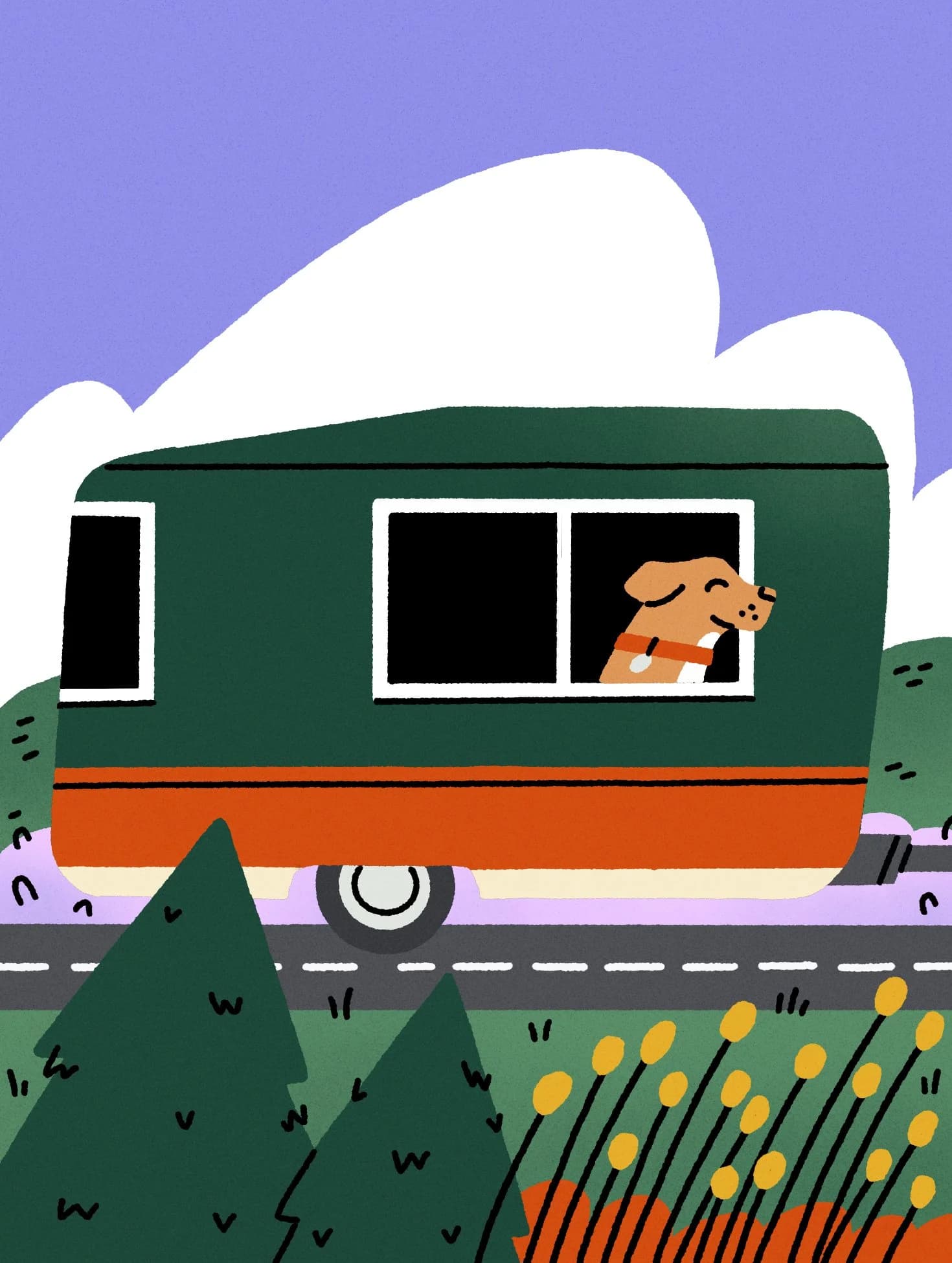 Sunny Eckerle - for Real Simple - Bringing pets on the road